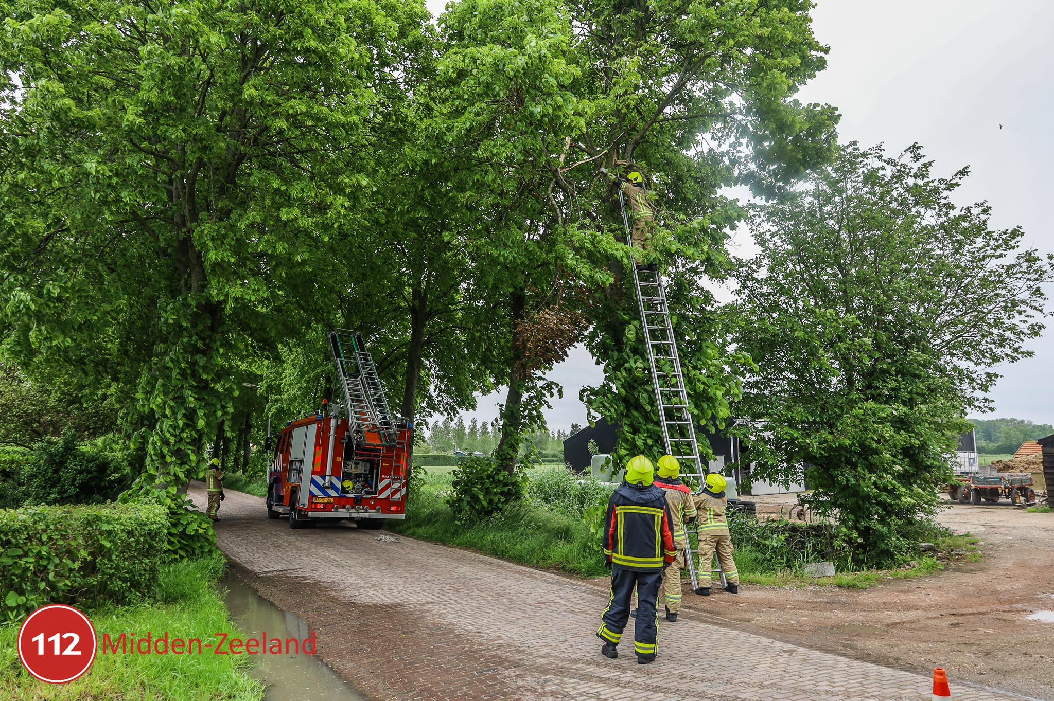 Brandweer verwijderd loshangende tak in #Ritthem .